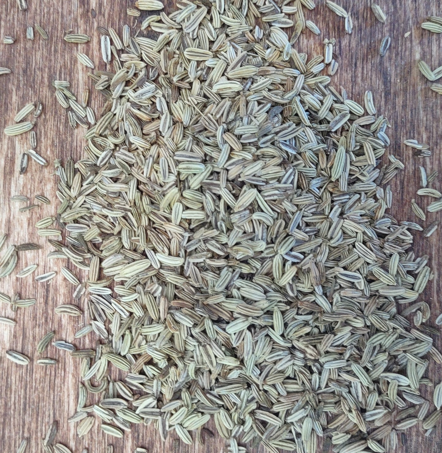 Fennell Blessed Dried Herb