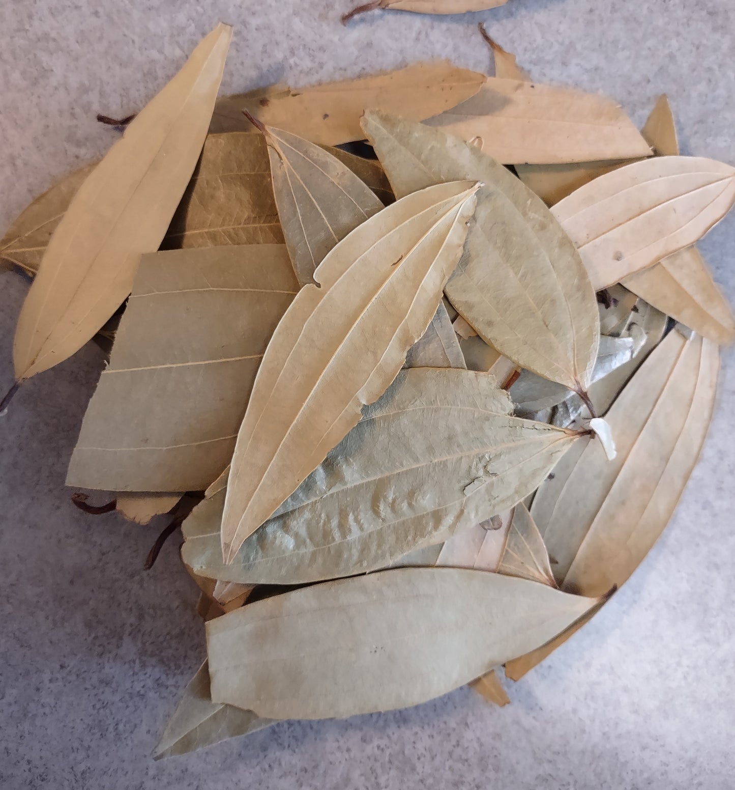 Bay Leaves