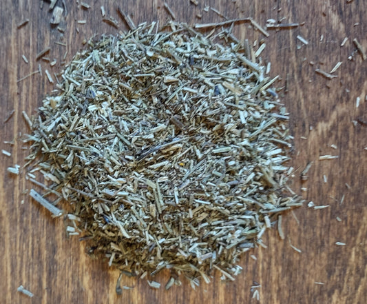 Vervain